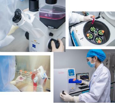 自貿(mào)區(qū)示范新篇章 壹加健康攜手珠海市人民醫(yī)院，開啟細胞技術(shù)研發(fā)與應(yīng)用生命健康戰(zhàn)略合作